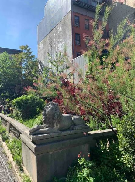 Coliving in Soho - Manhattan, New York