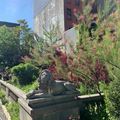 Coliving in Soho - Manhattan, New York