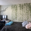 Room for rent in Torrance #2