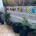 Room for rent in La Jolla #2