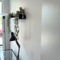 Coliving in Gastown - Downtown Van, Vancouver