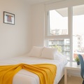 Coliving in Gastown - Downtown Van, Vancouver