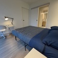 Coliving in Corktown - Downtown TO, Toronto