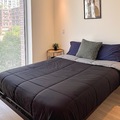 Coliving in Corktown - Downtown TO, Toronto