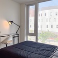 Coliving in Corktown - Downtown TO, Toronto