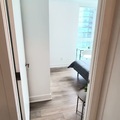 Coliving in Yonge-Eglinton - Midtown TO, Toronto