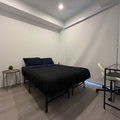 Coliving in Garden District - Downtown TO, Toronto
