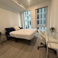 Coliving in Garden District - Downtown TO, Toronto