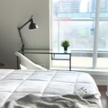 Coliving in Moss Park - Downtown TO, Toronto