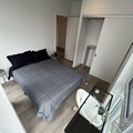 Coliving in Yonge-Eglinton - Midtown TO, Toronto