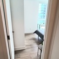 Coliving in Yonge-Eglinton - Midtown TO, Toronto