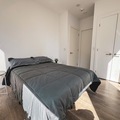 Coliving in Yonge-Eglinton - Midtown TO, Toronto