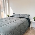 Coliving in Yonge-Eglinton - Midtown TO, Toronto