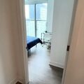 Coliving in Yonge-Eglinton - Midtown TO, Toronto