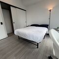 Coliving in Garden District - Downtown TO, Toronto