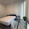 Coliving in Garden District - Downtown TO, Toronto