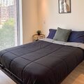 Coliving in Corktown - Downtown TO, Toronto