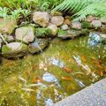 Coliving in Brentwood - Westside / South Bay, Los Angeles