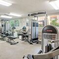 Coliving in Brentwood - Westside / South Bay, Los Angeles