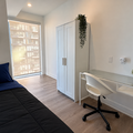 Coliving in Garden District - Downtown TO, Toronto